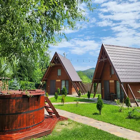 Green Property Dofteana